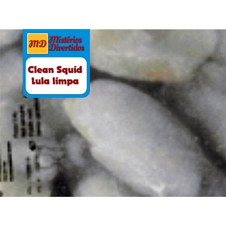 Frozen Clean Squids