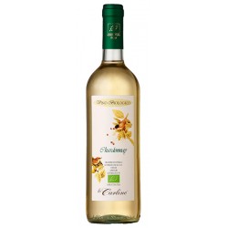 Organic Chardonnay IGT Veneto Orientale BIO