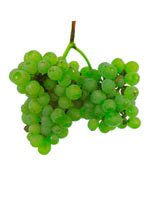 Fernao Pires Grapes